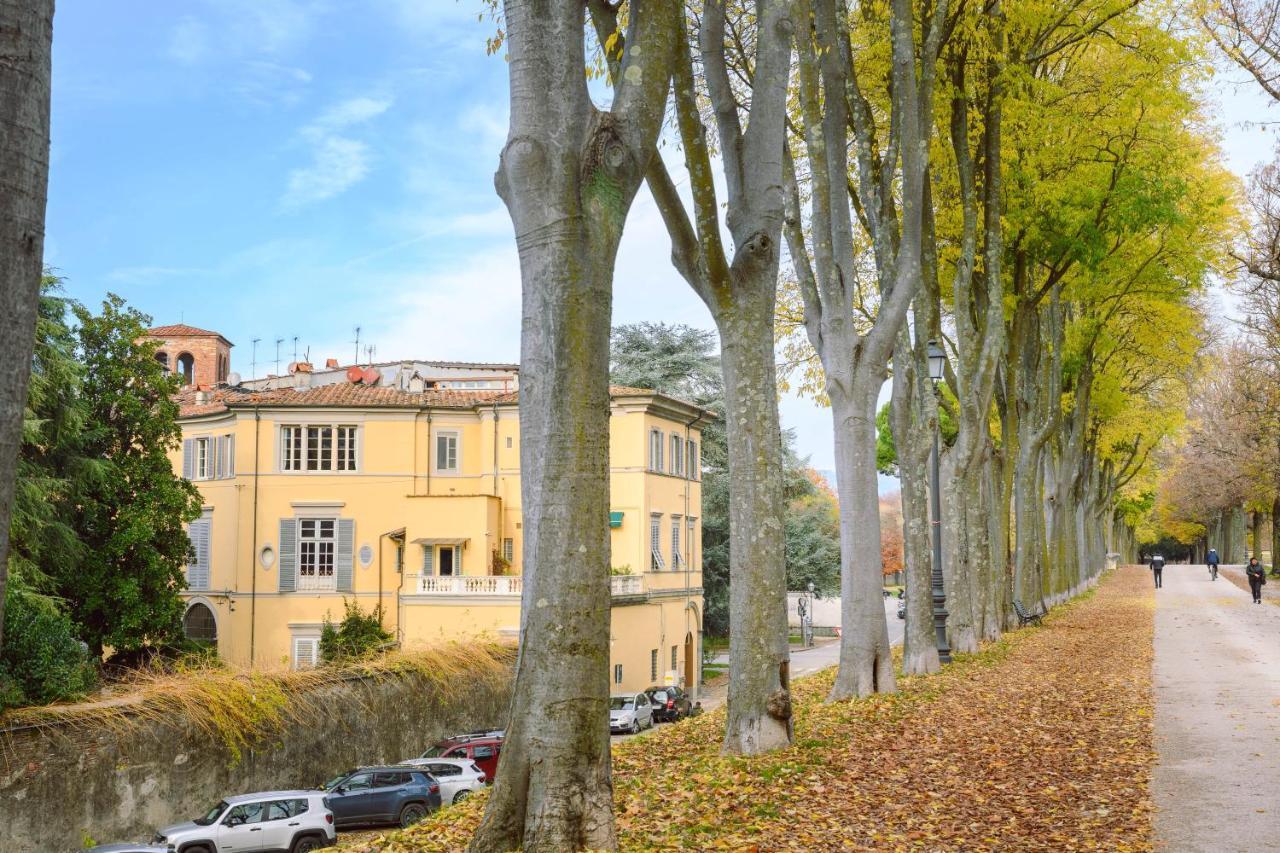 Palazzo Froussard B&B And Living Лука Екстериор снимка